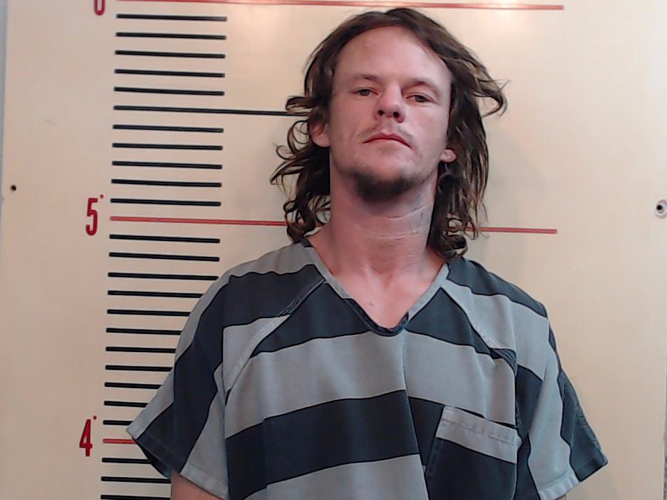 HAYS, STEVEN PAUL booking photo