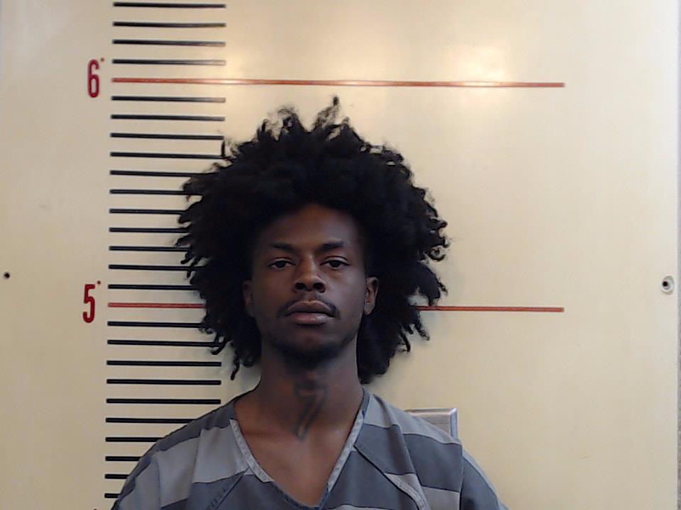 HARRIS, BRANDON EWING booking photo