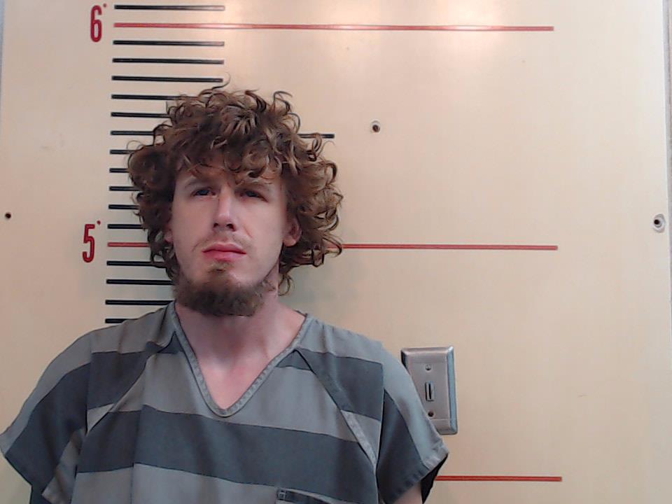 HALE, BRAD ALAN booking photo