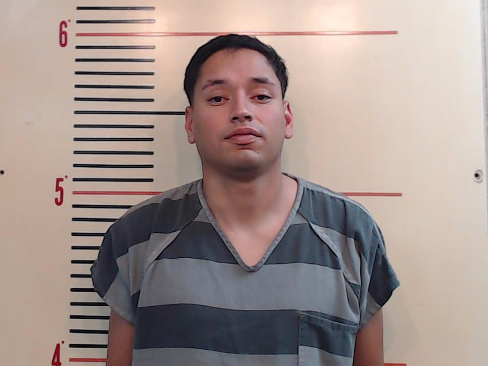 HERNANDEZ-FLORES, BILIC JOSE booking photo