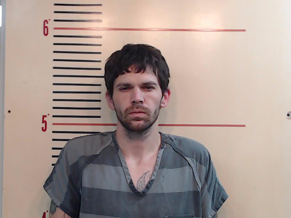 HERRELL, ANTHONY DEWAYNE booking photo