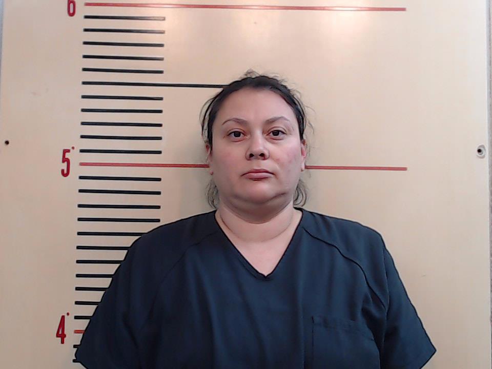 DIAZ, MELISSA ANN booking photo