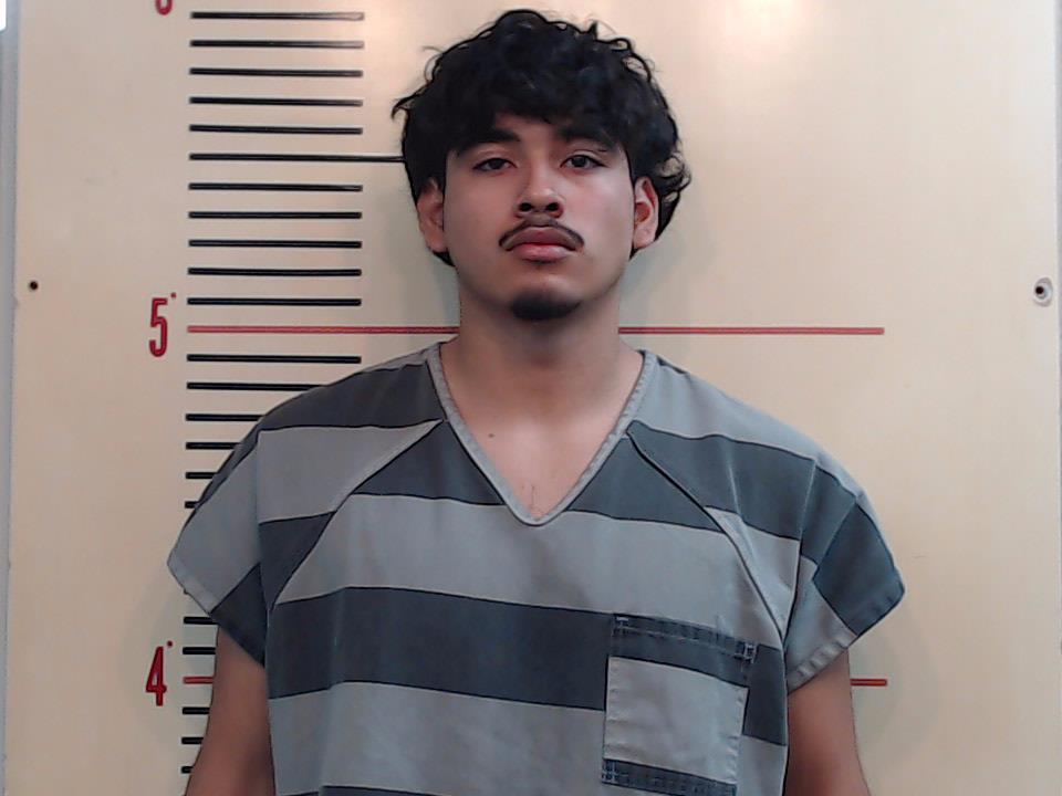 DELGADO, DAVID, Jr. booking photo