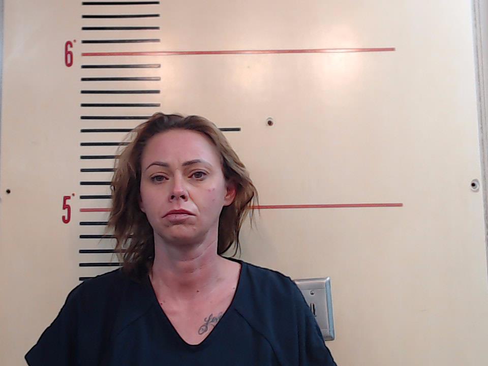 HOLLOWAY, SHANDA RENEA booking photo