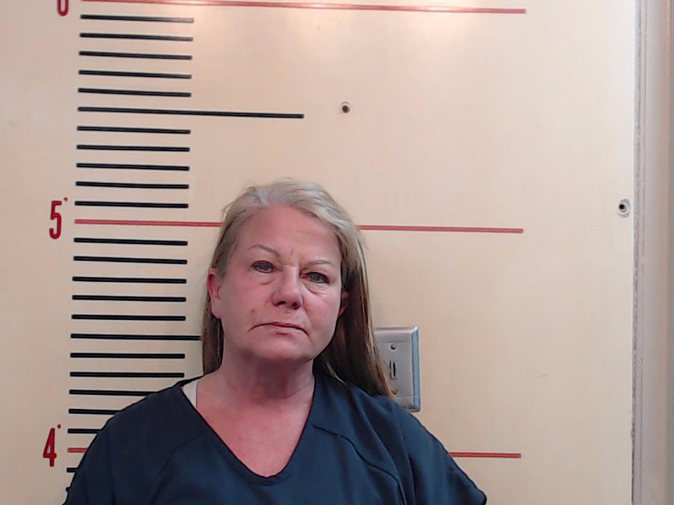 DAVIS, SHEILA KAY booking photo