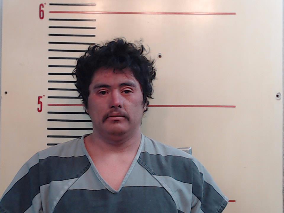 HERNANDEZ MOSQUEDA, LUIS LUIS booking photo