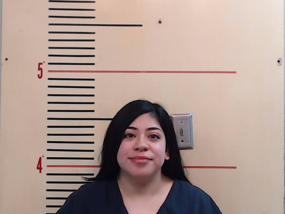 BENAVIDES, PHYLISHA NICOLE booking photo
