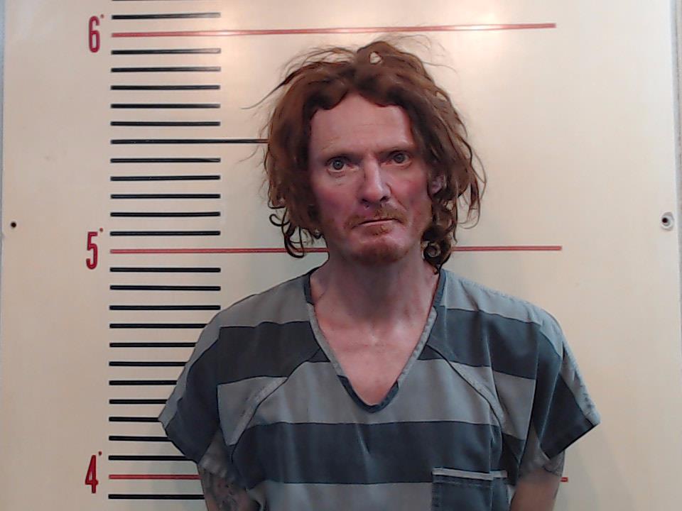 DAVIS, DANIEL LEE booking photo