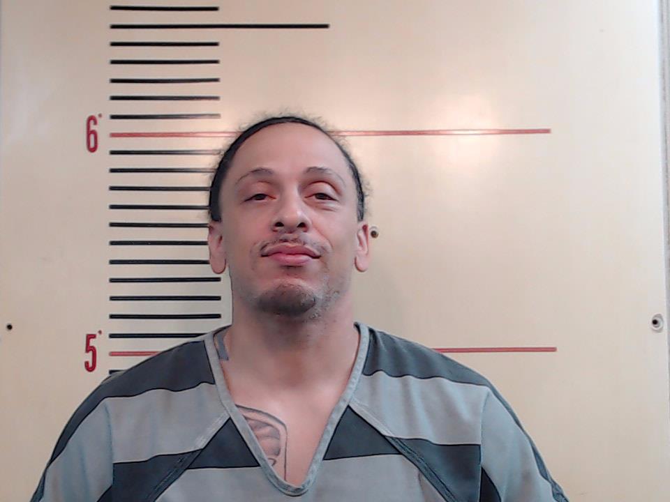 HERMAN, PAUL ALLAN booking photo