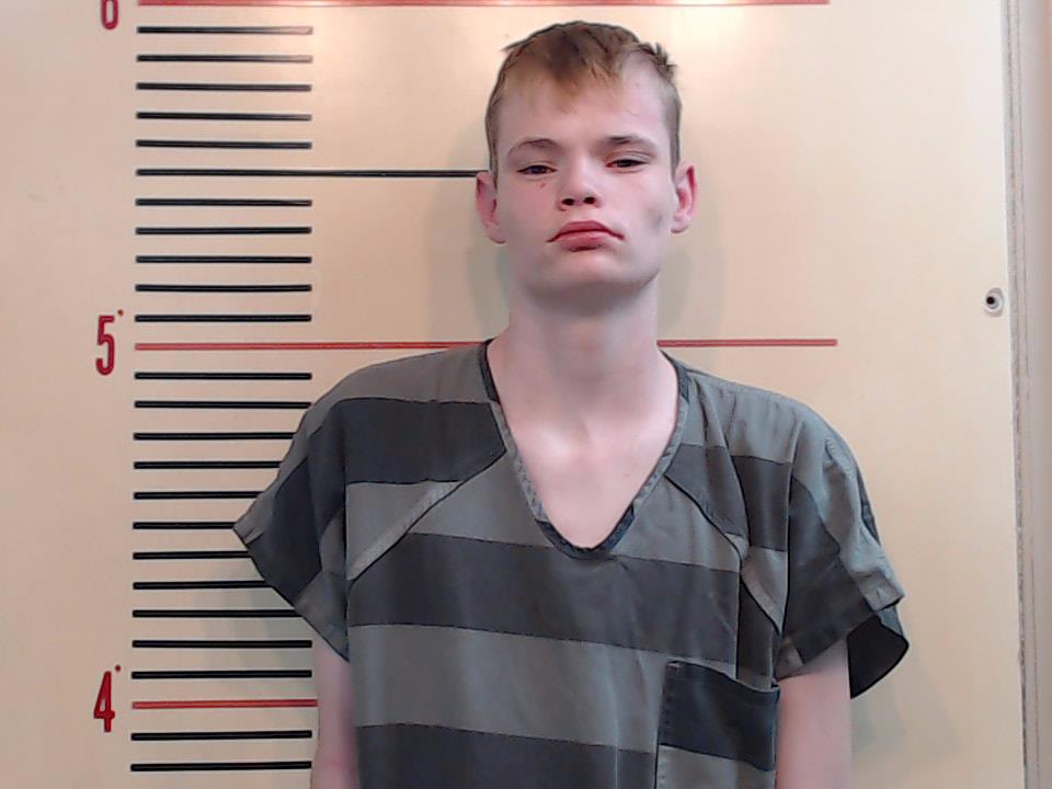 FLANNERY, SKYLER HUNTER booking photo