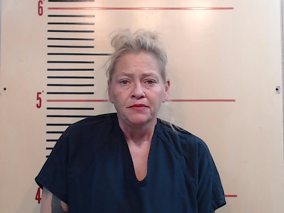 KING, JAMIE RENEE booking photo