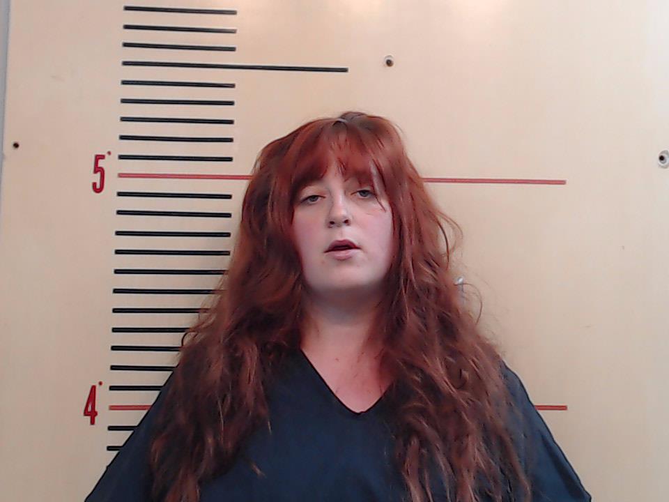 David, Catherine Guinevere booking photo