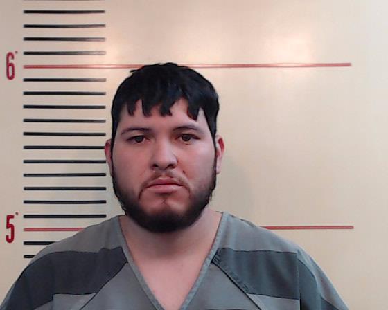 AGUIRRE, ALDAIR booking photo