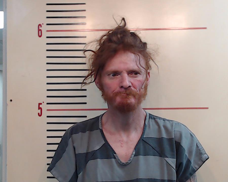 DAVIS, DANIEL LEE booking photo