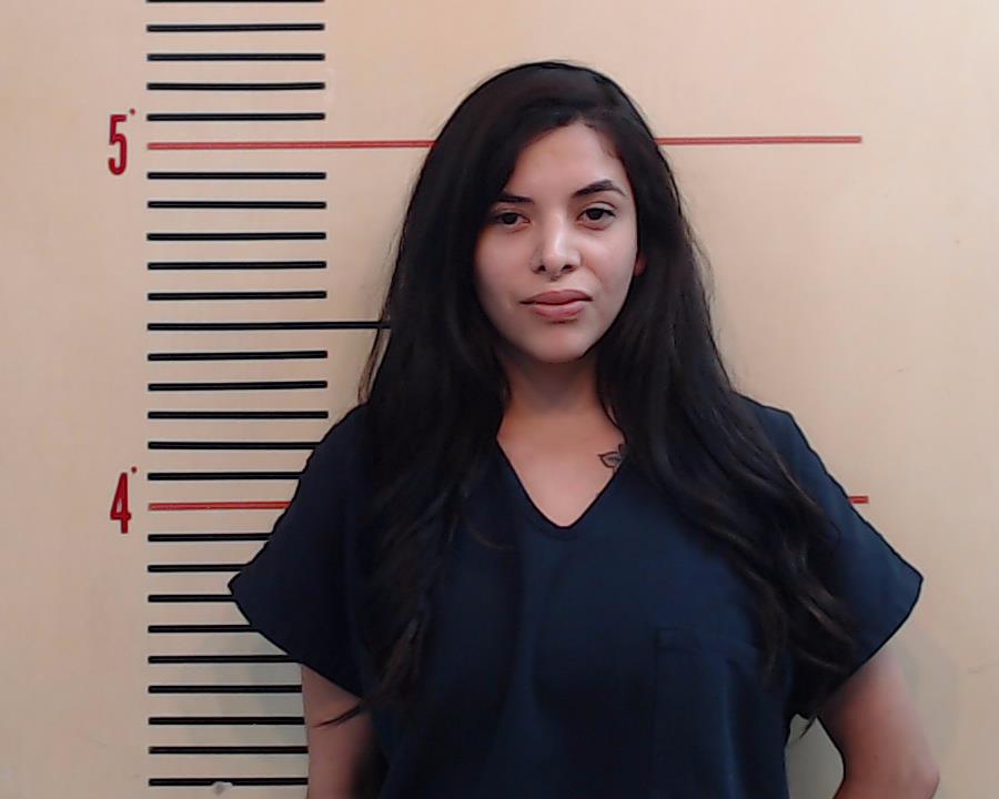 Castillo, Cee-Jai Meceala booking photo