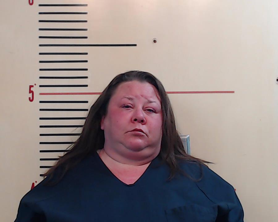 DAVIS, AMBER LYNN booking photo