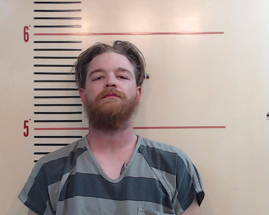 DAVIDSON, JONATHAN MCKINLEY booking photo