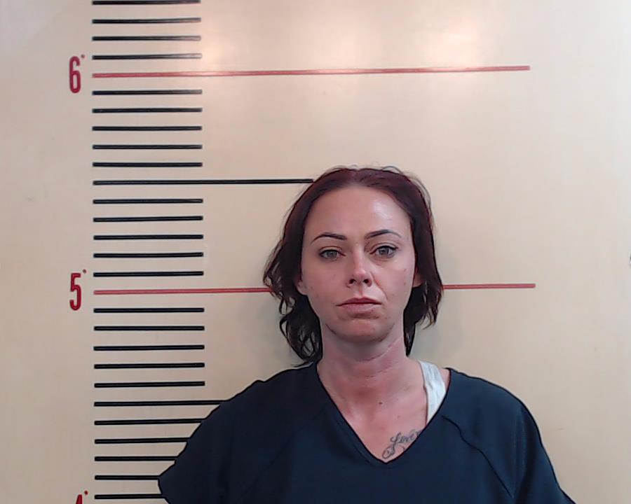 HOLLOWAY, SHANDA RENEAANN booking photo