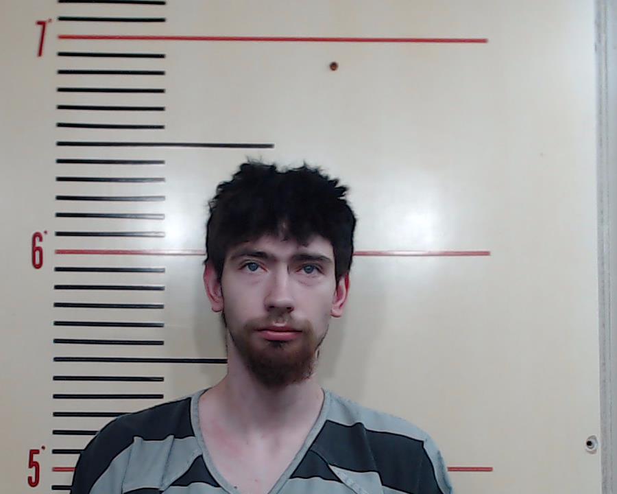 BOYD, TRISTAN REECE booking photo