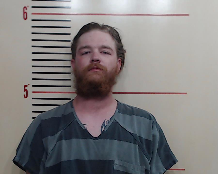 DAVIDSON, JONATHAN MCKINLEY booking photo