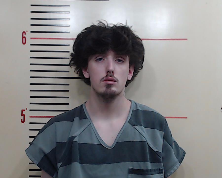 DAVIS, DYLAN DUSTIN booking photo