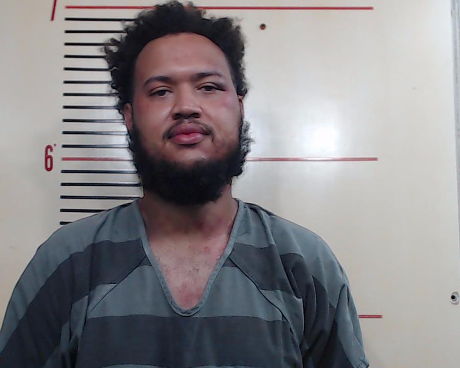 GIBSON, TYLER JACOB booking photo