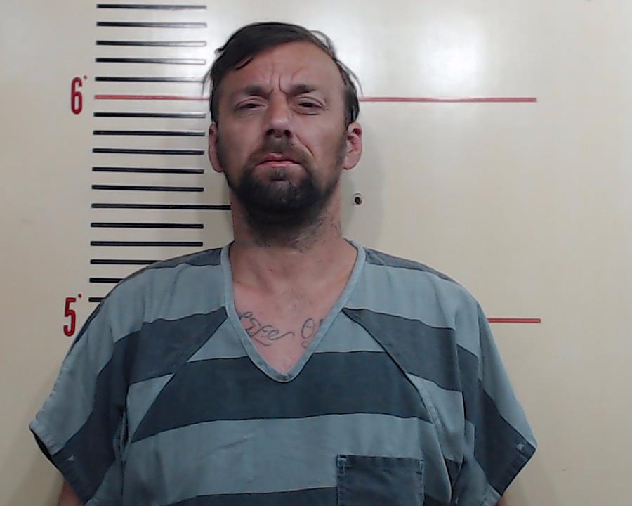 STEGNER, LEO JAMES booking photo