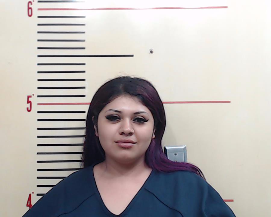 CASTRO, CATALINE JACQUELYN booking photo