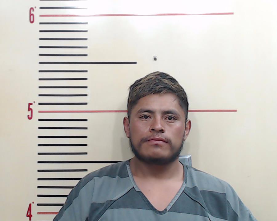 FRANCISCO-SALES, ALEXANDER booking photo