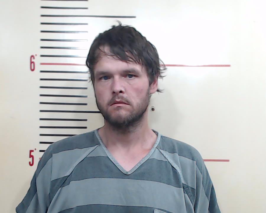 HAMILTON, ROBERT LAWRENCE, Jr. booking photo