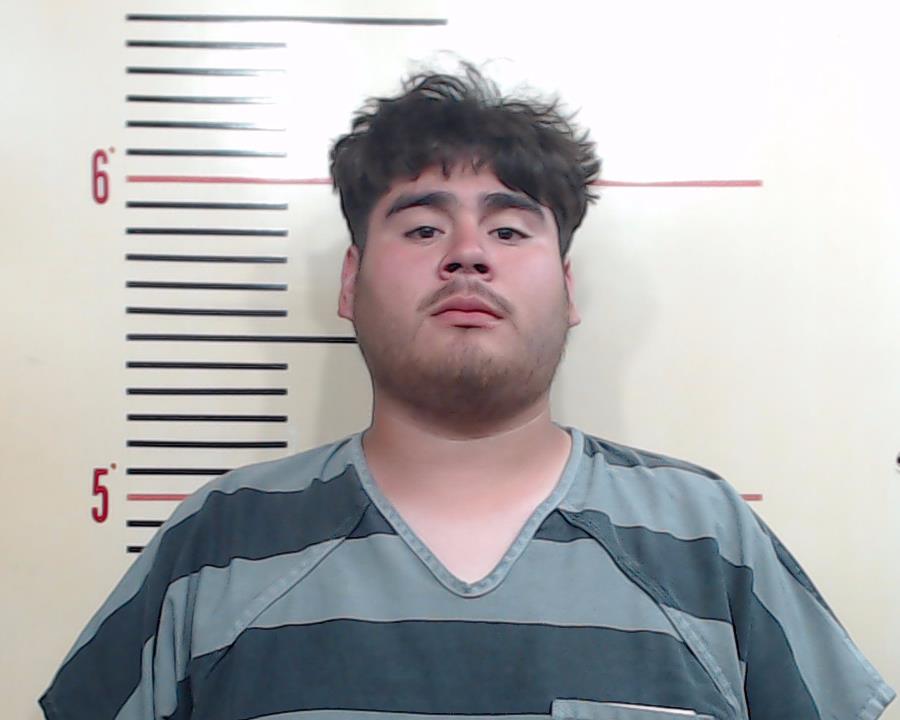 GONZALES, ANTHONY ELAIN booking photo
