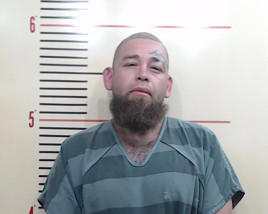 HERNANDEZ, GUSTAVO booking photo