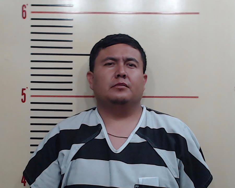 BAEZA GONZALEZ, PEDRO SEVERO booking photo