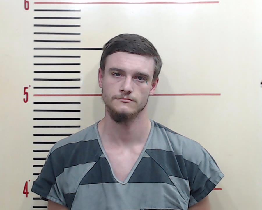 DAVIS, GARETT LANE booking photo