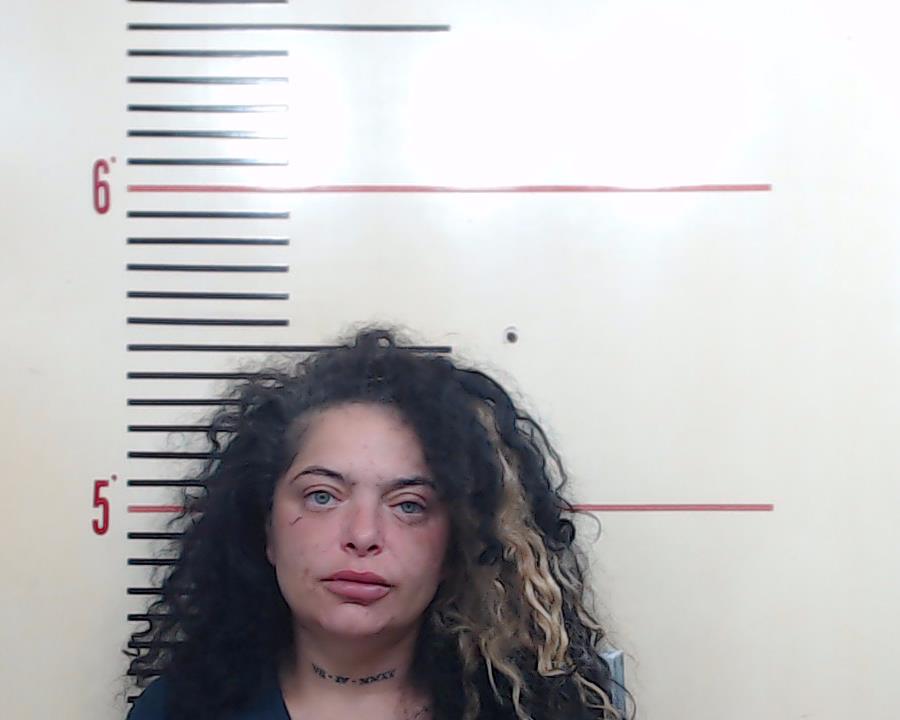 CASTRO, ASHLEY ANN booking photo