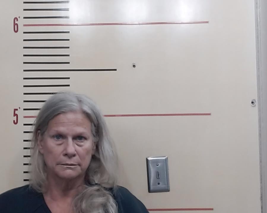 DAVIDSON, TERESA KAY booking photo