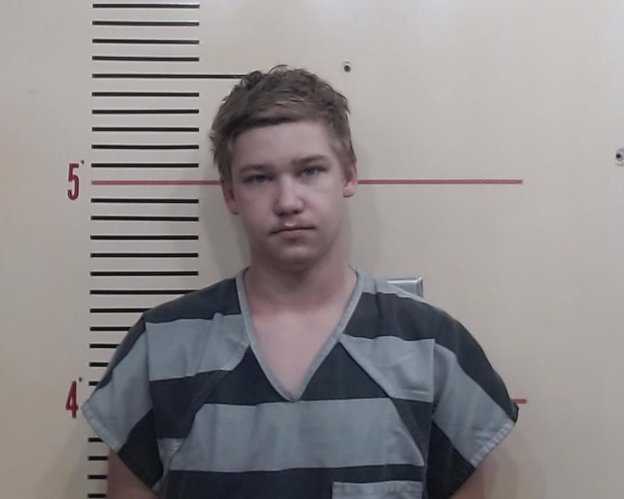 GIBSON, LEVI JOHN booking photo