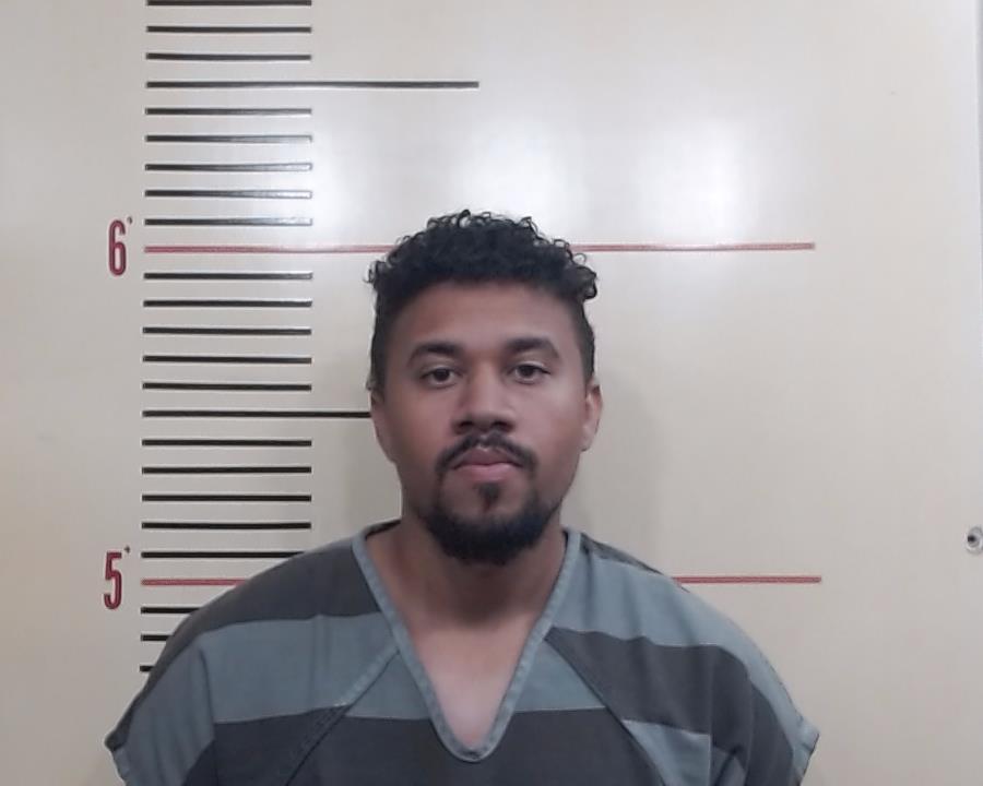 HALE, STEVEN ROBERT, Jr. booking photo