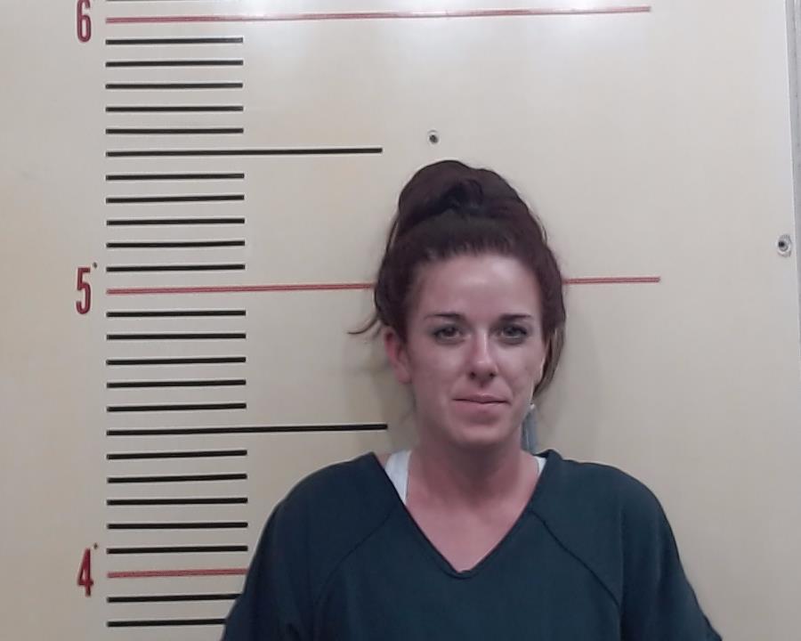 HARNER, SHANEL RENEE booking photo