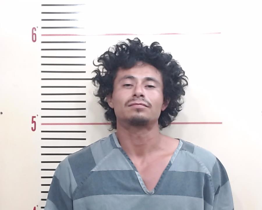 SISA, JOSE GUADALUPE booking photo
