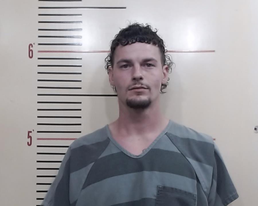 BRADLEY, CODY booking photo