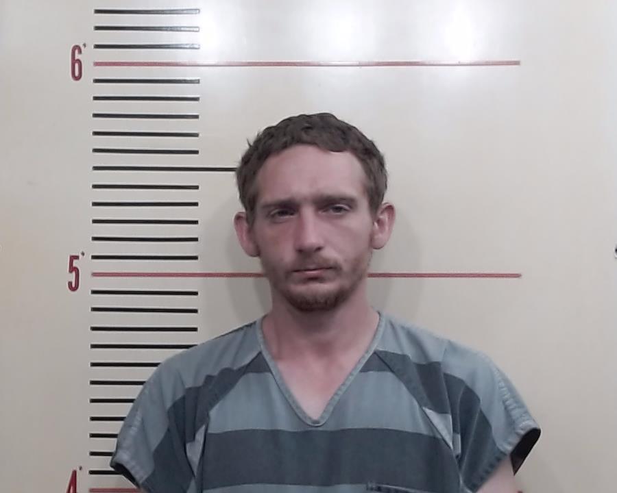 CHEEK, JOHN TROY-DAVID booking photo