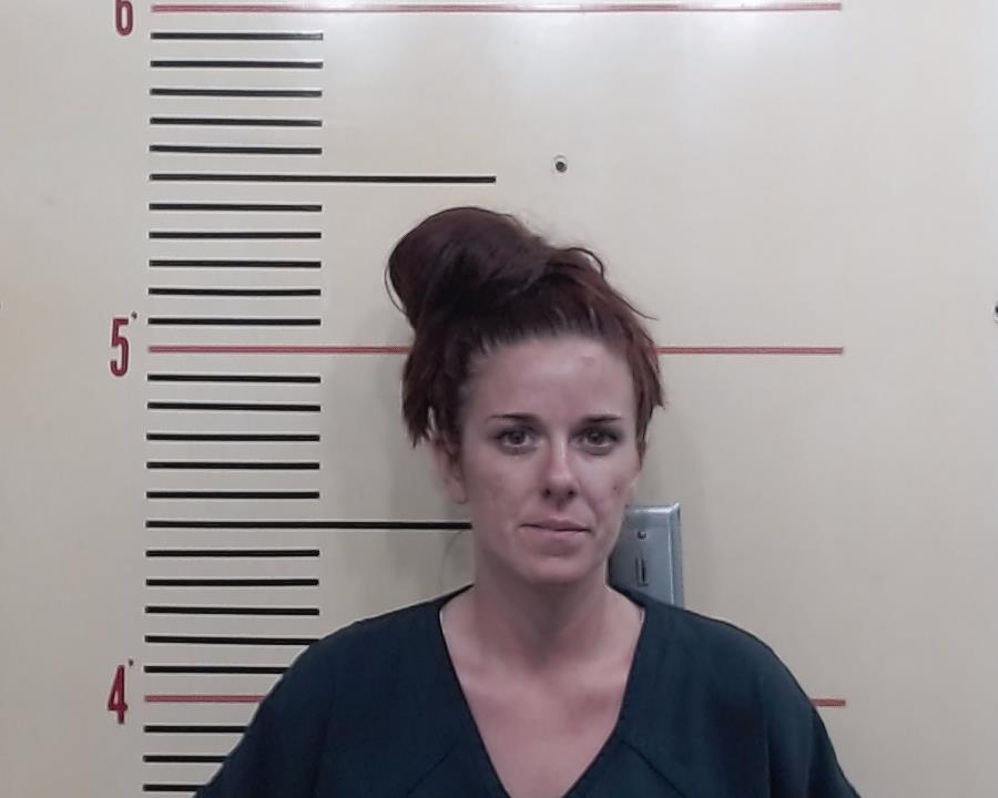 HARNER, SHANEL RENEE booking photo
