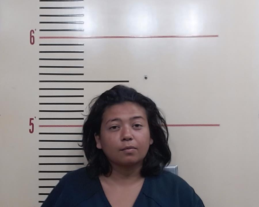 CHAVEZ, ERICA DANIELA booking photo