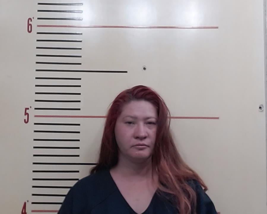 TURNER, CANDICE LEE booking photo