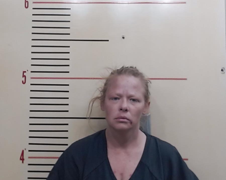 DAVIDSON, NATALIE GAYLE booking photo