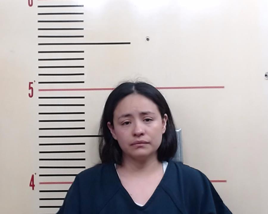 GARCIA-LANDIN, ESTEFANI GUADALUPE booking photo