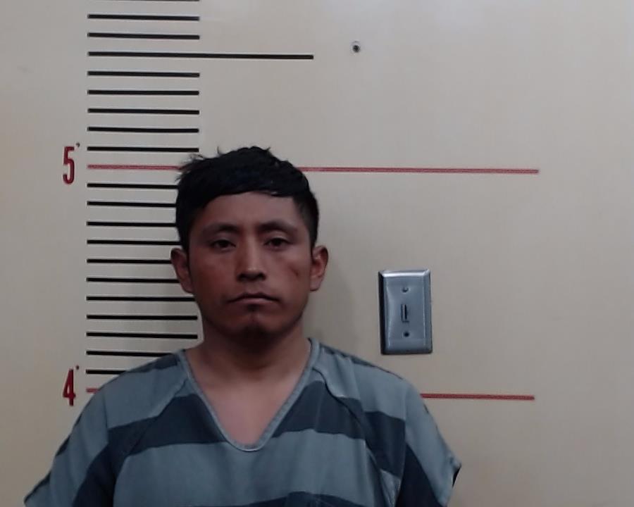 GREGORIO, CARLOS FRANCISCO booking photo