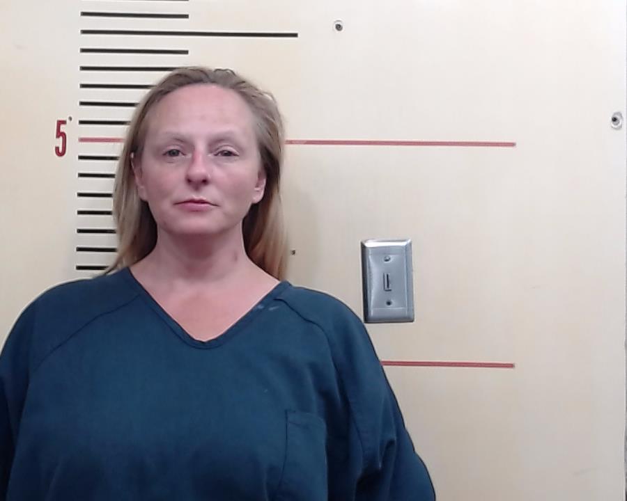 Sandor, Amy Elizabeth booking photo