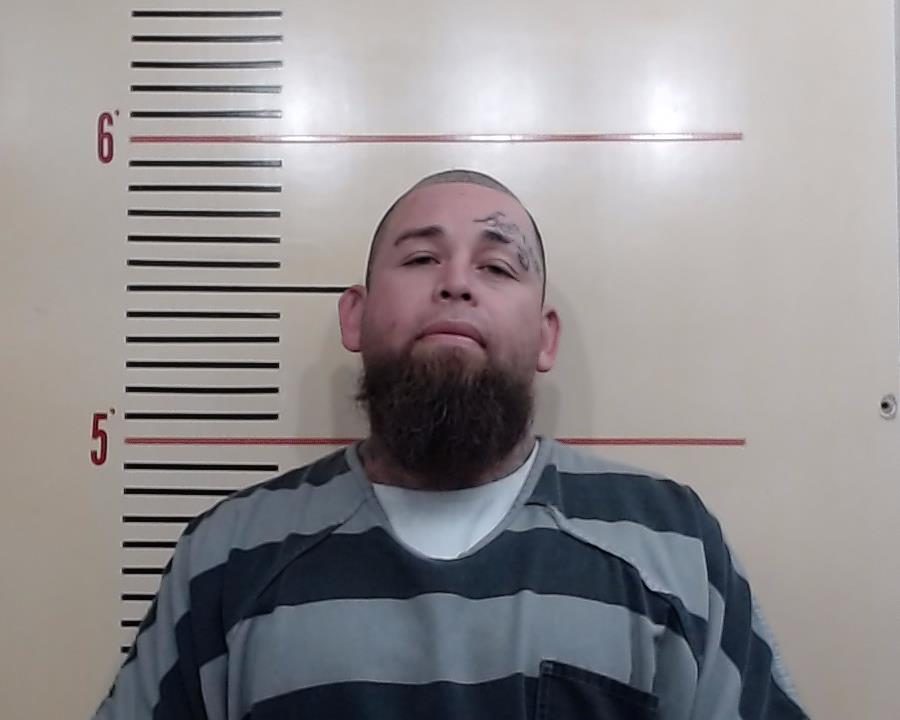 HERNANDEZ, GUSTAVO booking photo